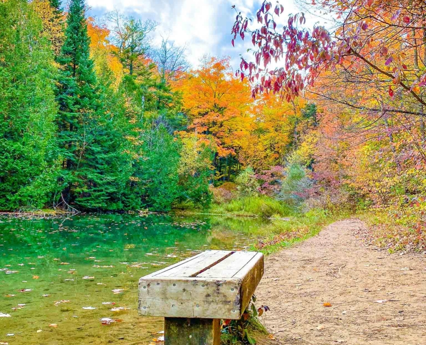 Mono Cliffs Provincial Park pond and trees changing to fall colours