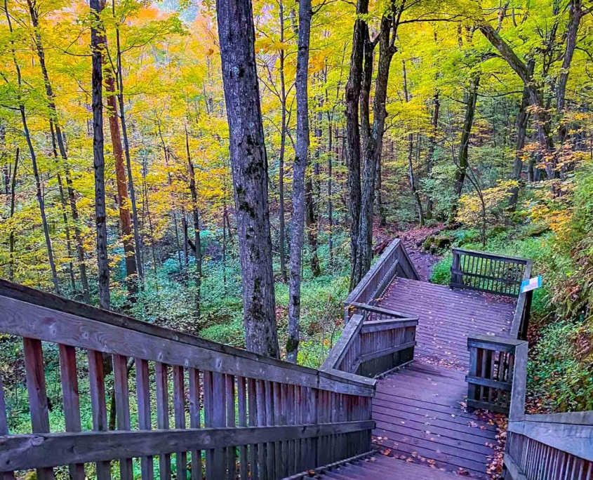 Mono Cliffs Provincial Park stairs on hike