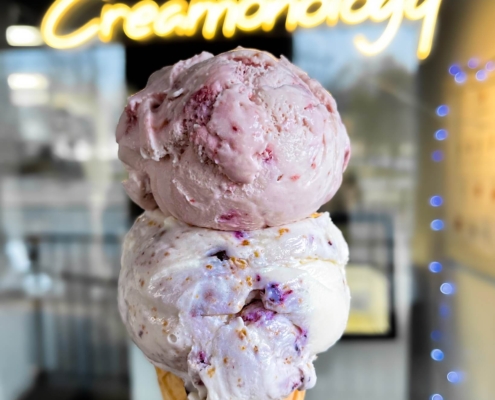 Ice creamonology double scoop cone