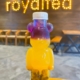 Royaltea bubble tea in teddy bear shaped bottle