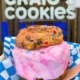 Craig’s Cookies unicorn ice cream sandwich with two rainbow chocolate chip cookies